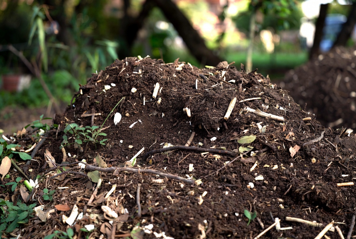 Organic Compost Delivery & Topdressing